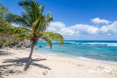 Oceanfront Land For Sale in Cabrera Dominican Republic - Sosua - Land - Apartment - RealtorDR-11