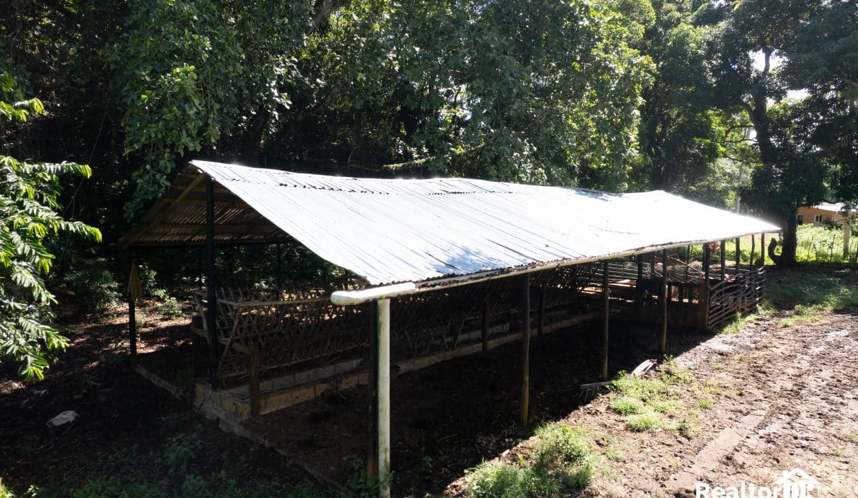 FOR SALE 42,000 SQM FARMING LAND IN CABARETE SOSUA IN PERLA MARINA PUERTO PLATA DOMINICAN REPUBLIC-51