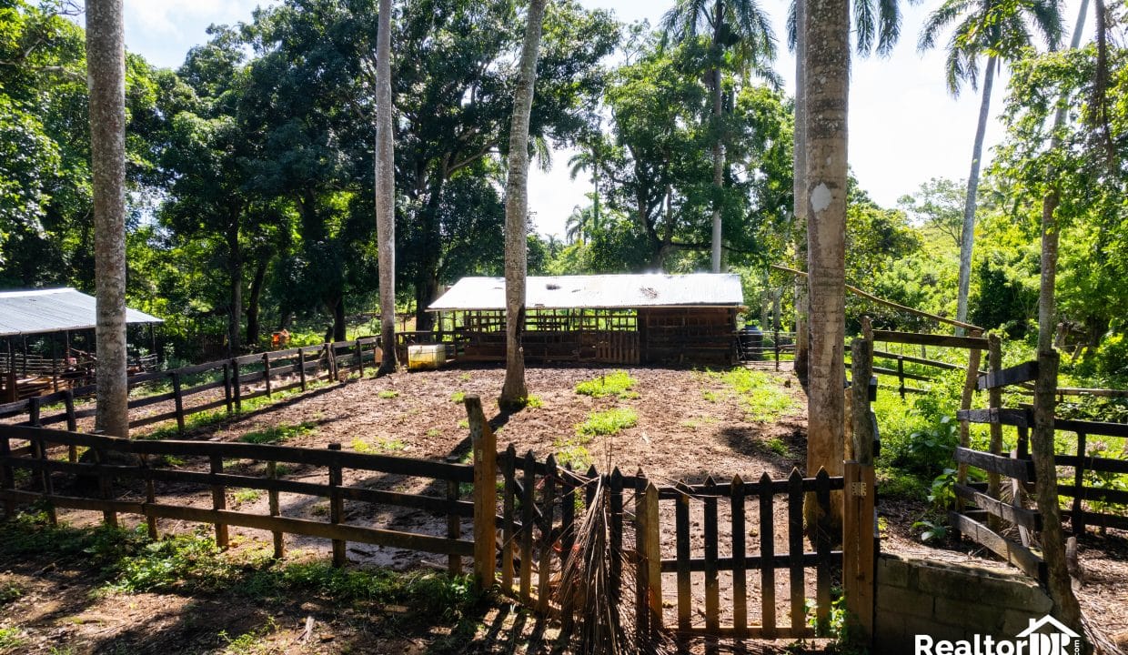 FOR SALE 42,000 SQM FARMING LAND IN CABARETE SOSUA IN PERLA MARINA PUERTO PLATA DOMINICAN REPUBLIC-52