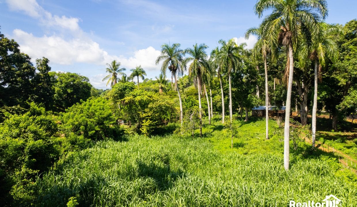 FOR SALE 42,000 SQM FARMING LAND IN CABARETE SOSUA IN PERLA MARINA PUERTO PLATA DOMINICAN REPUBLIC-56