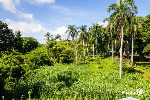 FOR SALE 42,000 SQM FARMING LAND IN CABARETE SOSUA IN PERLA MARINA PUERTO PLATA DOMINICAN REPUBLIC-56