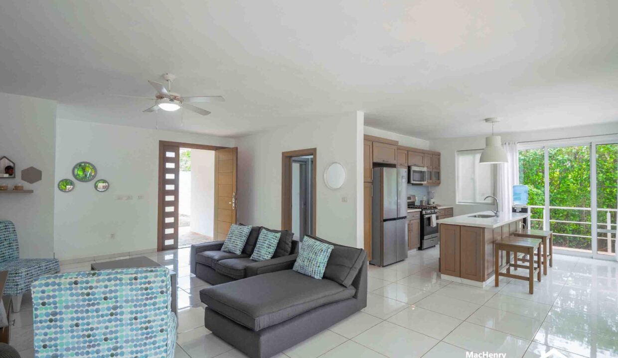 PROPERTIES FOR SALE IN DOMINICAN REPUBLIC-8 (Canva-edited)