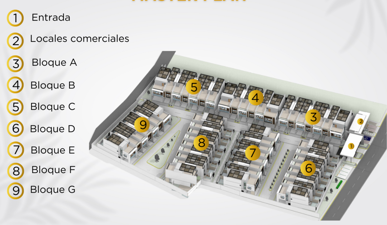 Master Plan- Playa Chiquita