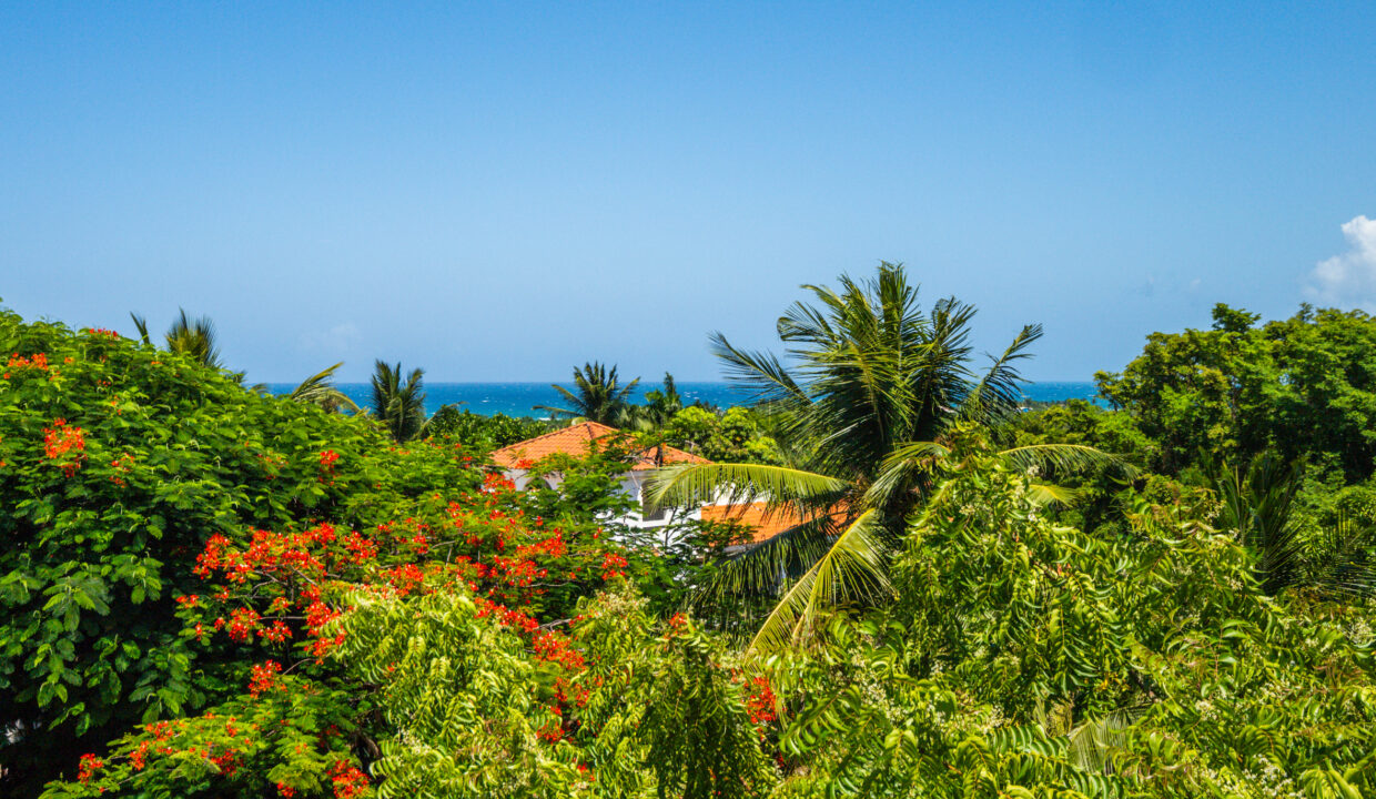 _PROPERTIES FOR SALE - PLAYA-ENCUENTRO-FOR-SALE-VILLA-LAND-APARTMENTS-CONDOS-STUDI-HOUSE-REALTORDR-SOSUA-PUERTO-PLATA-CABARETE-PUNTA-CANA-LAS-TERRENAS-PROPERTIES-FOR-SALE-BUYING-11