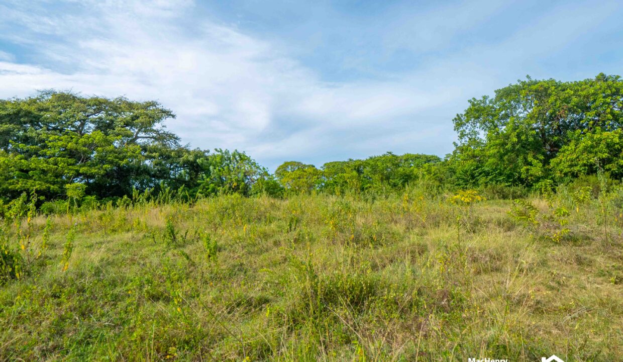 LAND FOR SALE IN SOSUA,CABARETE PUERTO PLATA - REALTORDR-3