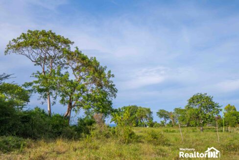 LAND FOR SALE IN SOSUA,CABARETE PUERTO PLATA - REALTORDR-4