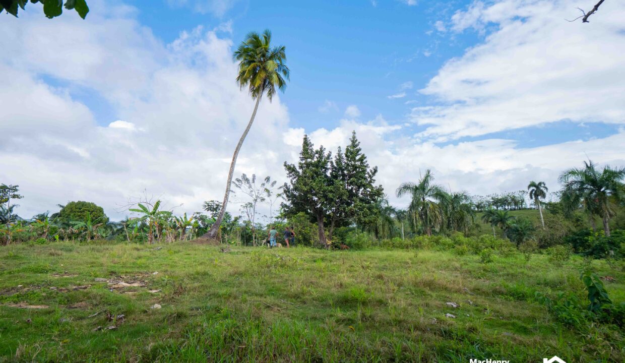 LAND FOR SALE IN SOSUA,CABARETE PUERTO PLATA - REALTORDR-2