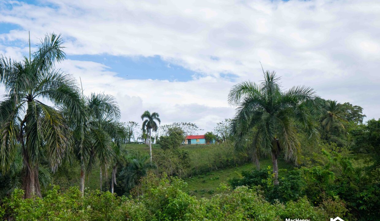 LAND FOR SALE IN SOSUA,CABARETE PUERTO PLATA - REALTORDR-5