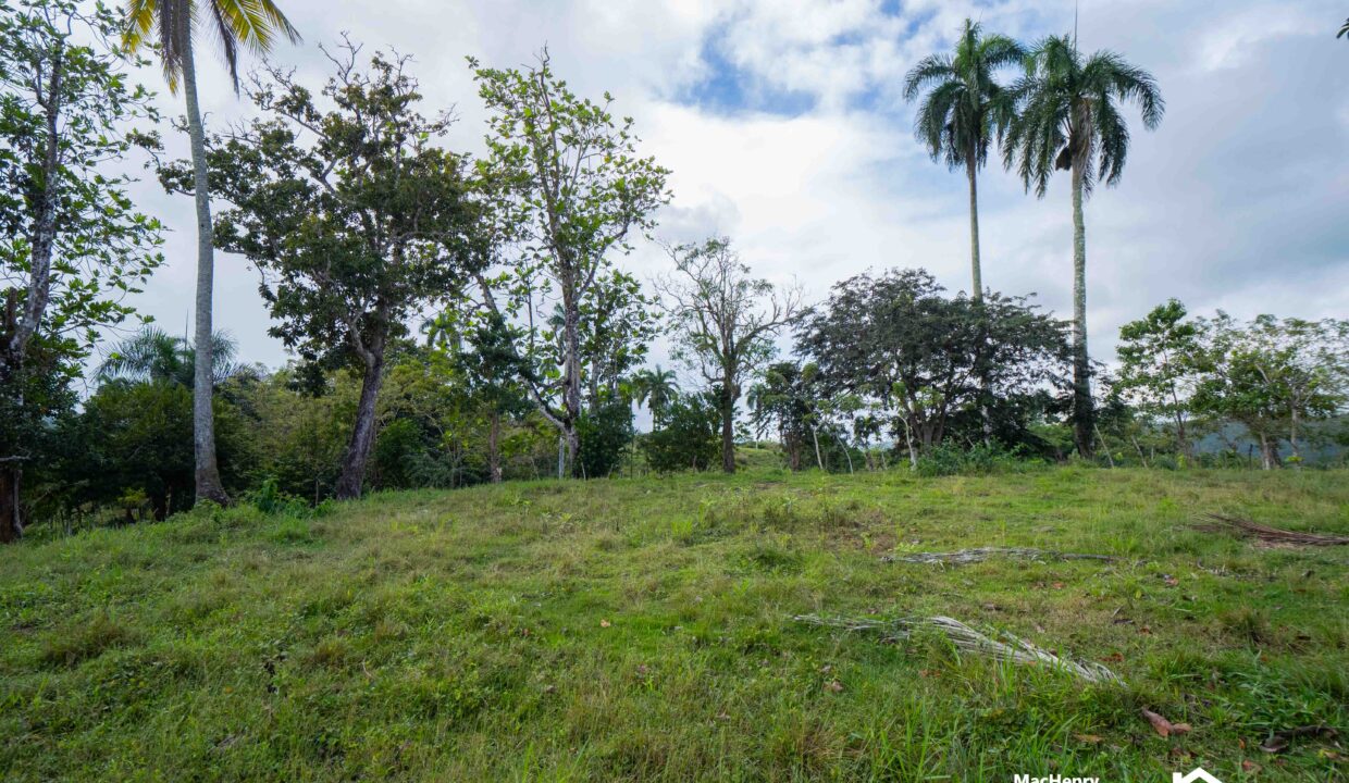 LAND FOR SALE IN SOSUA,CABARETE PUERTO PLATA - REALTORDR-6