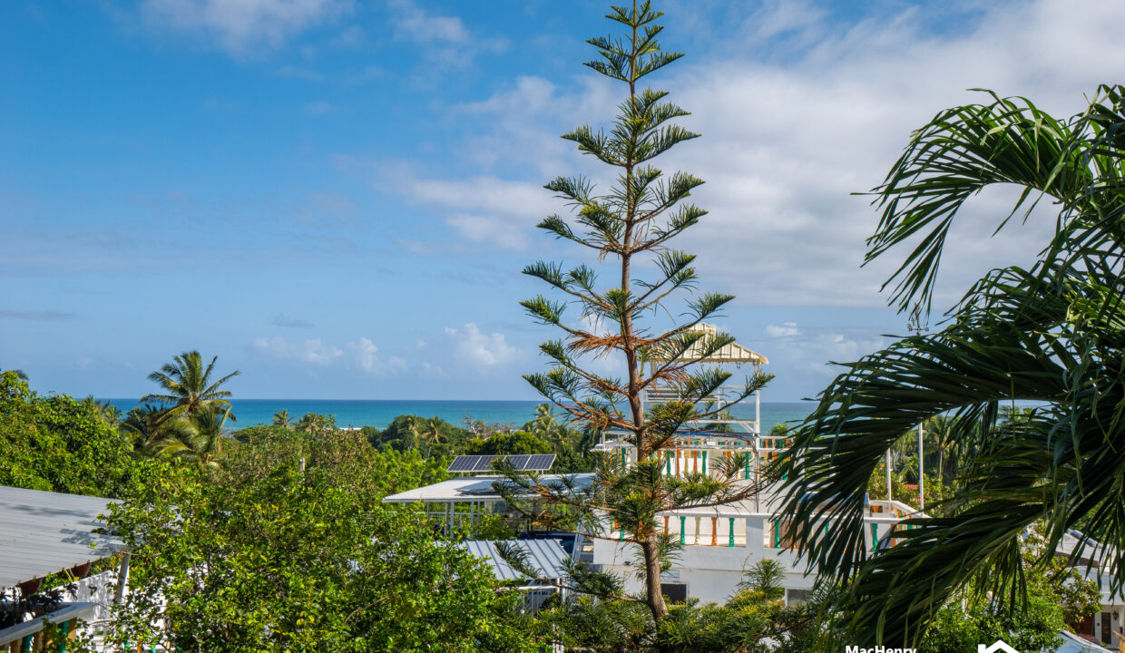 LAND FOR SALE IN SOSUA,CABARETE PUERTO PLATA - REALTORDR-12
