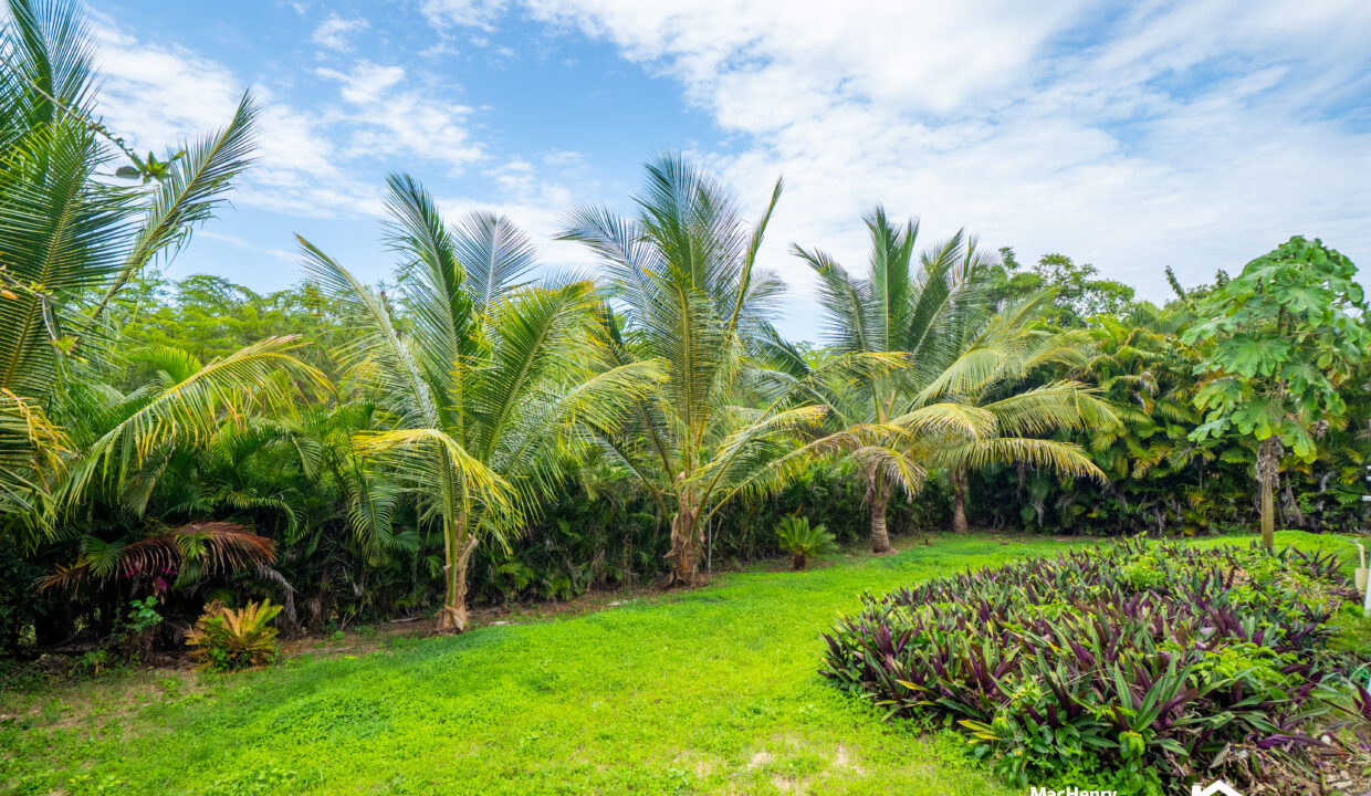 APARTMENT FOR RENT IN THE CENTER OF CABARETE IN DOMINICAN REPUBLIC - AIRBNB-12