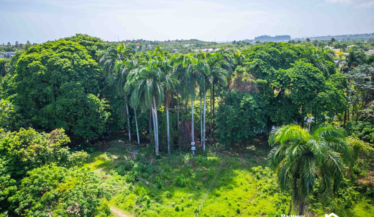 FOR SALE VILLA APARTMENT CONDO STUDIO DOMINICAN REPUBLIC PUERTO PLATA HOUSE IN SOSUA,CABARETE PUERTO PLATA DOMINICAN REPUBLIC