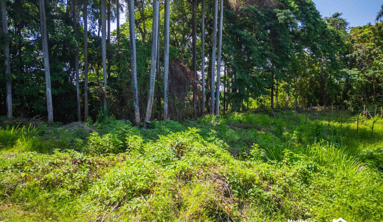 FOR SALE VILLA APARTMENT CONDO STUDIO DOMINICAN REPUBLIC PUERTO PLATA HOUSE IN SOSUA,CABARETE PUERTO PLATA DOMINICAN REPUBLIC-5